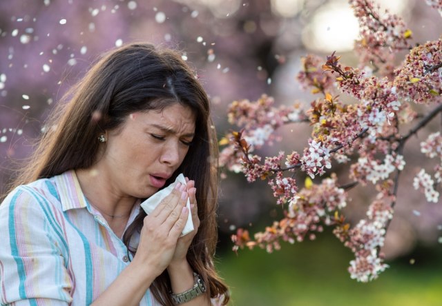Simptomi proleænih alergija su uporni i iritantni – u ovome možete pronaæi spas VIDEO